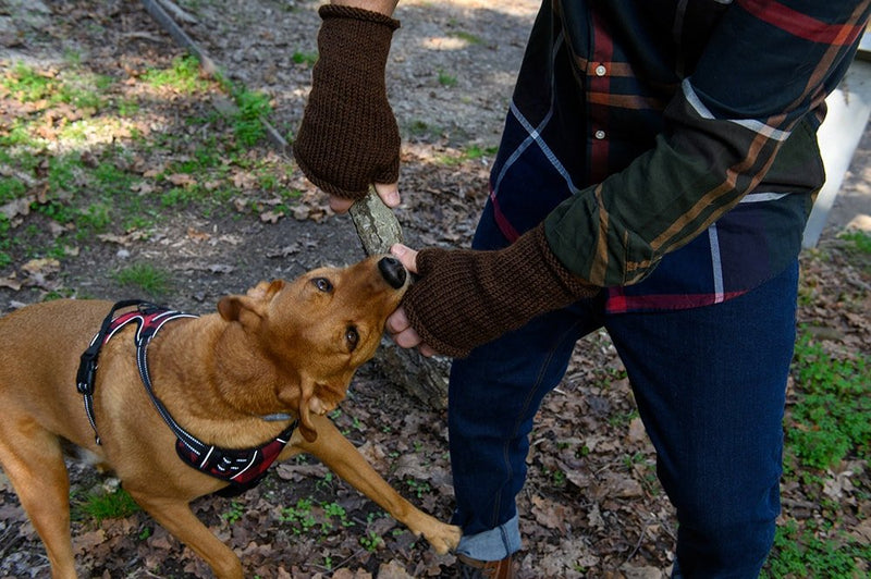 fingerless gloves for dog walking