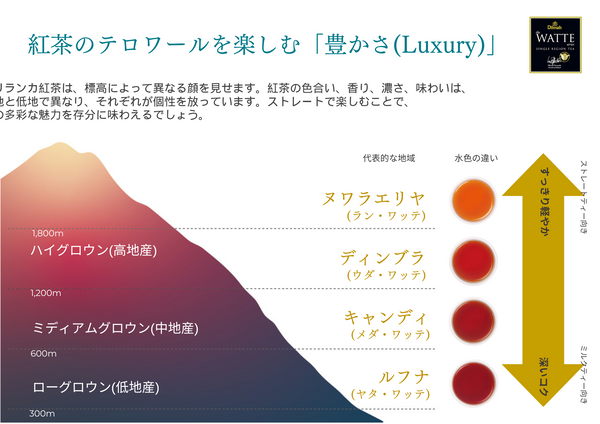 ヌワラエリヤ 高原地帯に位置し、清涼な気候で育まれた紅茶。花や果物のような香りと爽やかな味わいが特徴。 ディンブラ 高原地帯から中央山岳地帯にかけて広がる地域。霧や雨によって生まれる温度差が独特な風味を生み出す。柑橘系やハーブのような香りとコク深い味わいが特徴。 キャンディ スリランカ中央部に位置し、古都キャンディを中心とする地域。標高は低めだが気温は高く湿度も高い。花や果物のような香りと甘みのある味わいが特徴。 ルフナ スリランカ南部に位置し、海岸沿いの地域。気温は高く乾燥している。スパイシーな香りと力強い味わいが特徴。