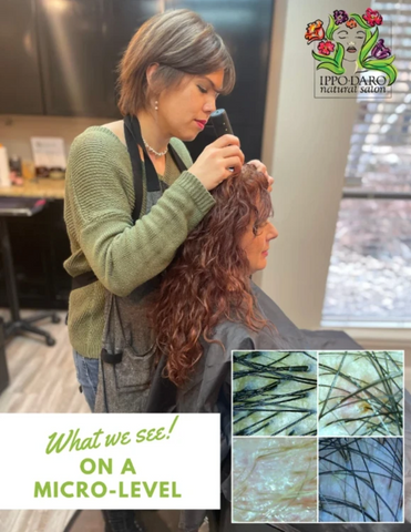 This is an image of Terri here at Ippodaro Natural Salon using the Oway Trichoderm. This image is used in the Ippodaro Natural Salon blog post titled, "Olaplex.. Friend Or Enemy?"