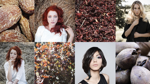 This is a photo from Oway America showcasing the four women with different hair styles and color, alongside nature images that compliment the colors and showcase ingredients. This image is used in the Ippodaro Natural Salon blog post titled, “The Reason Behind the 5-6 Week Rule For Color Maintenance”.