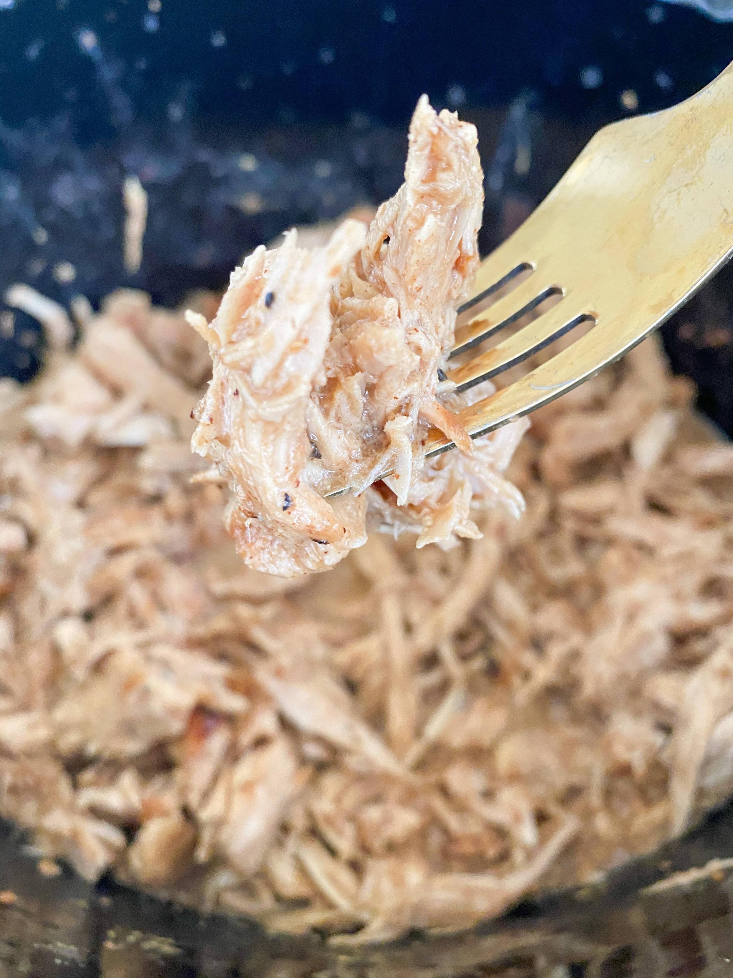 Saucy Slow Cooker Protein