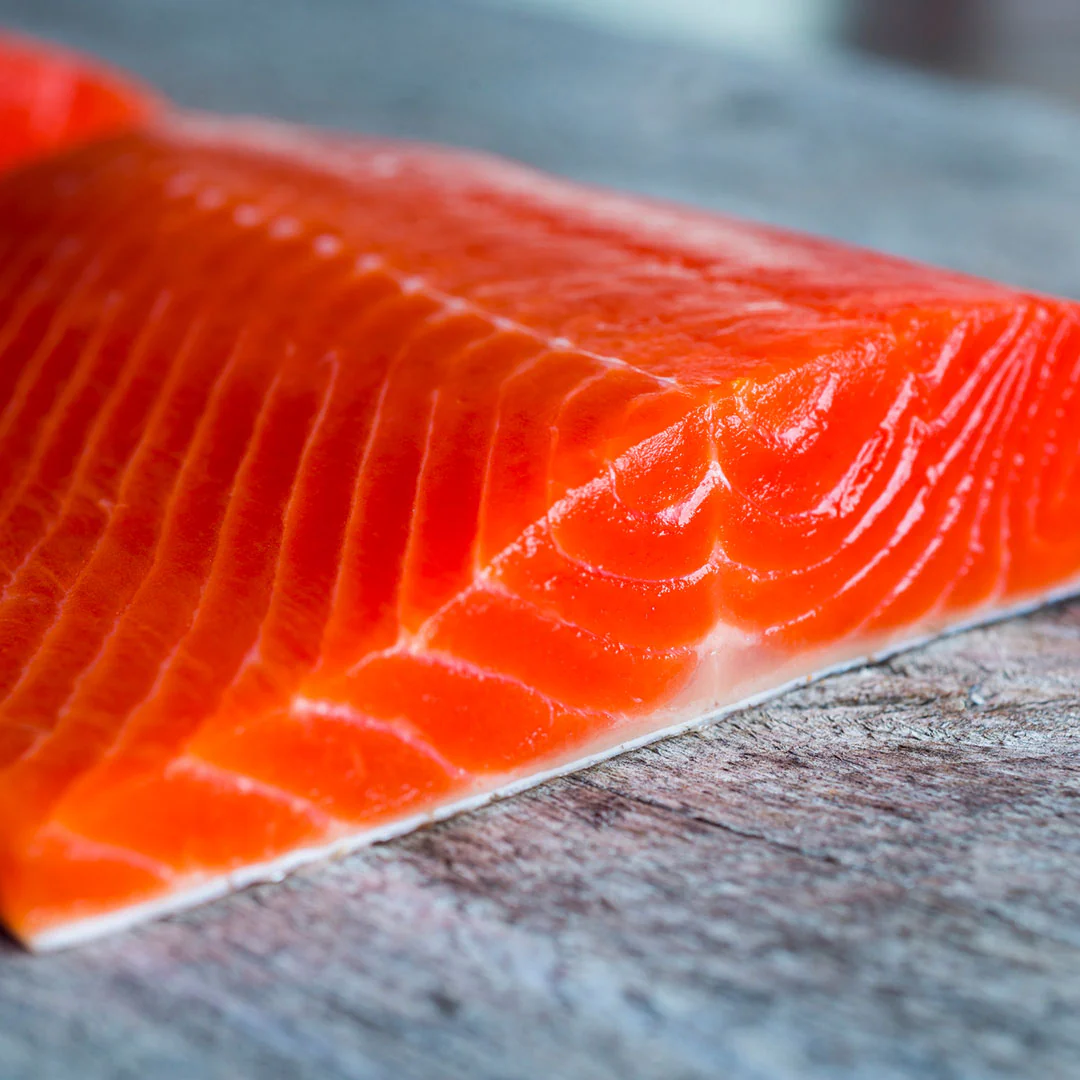 Sockeye Salmon