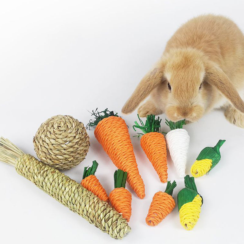 Rabbit Chew Toy Bite