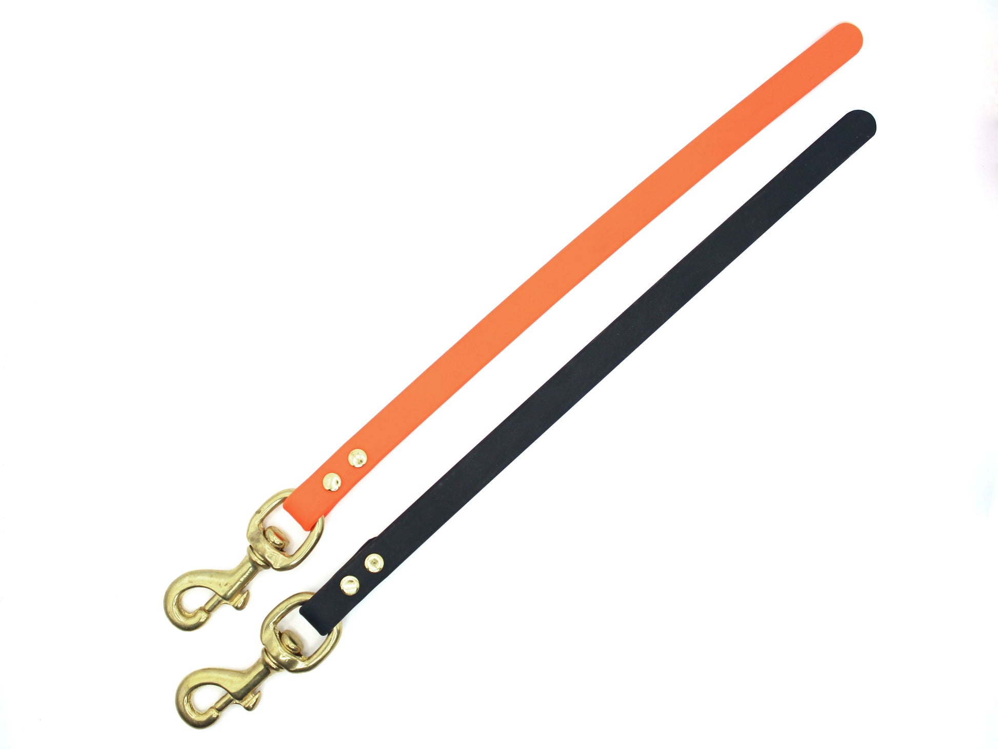 dog training tab leash