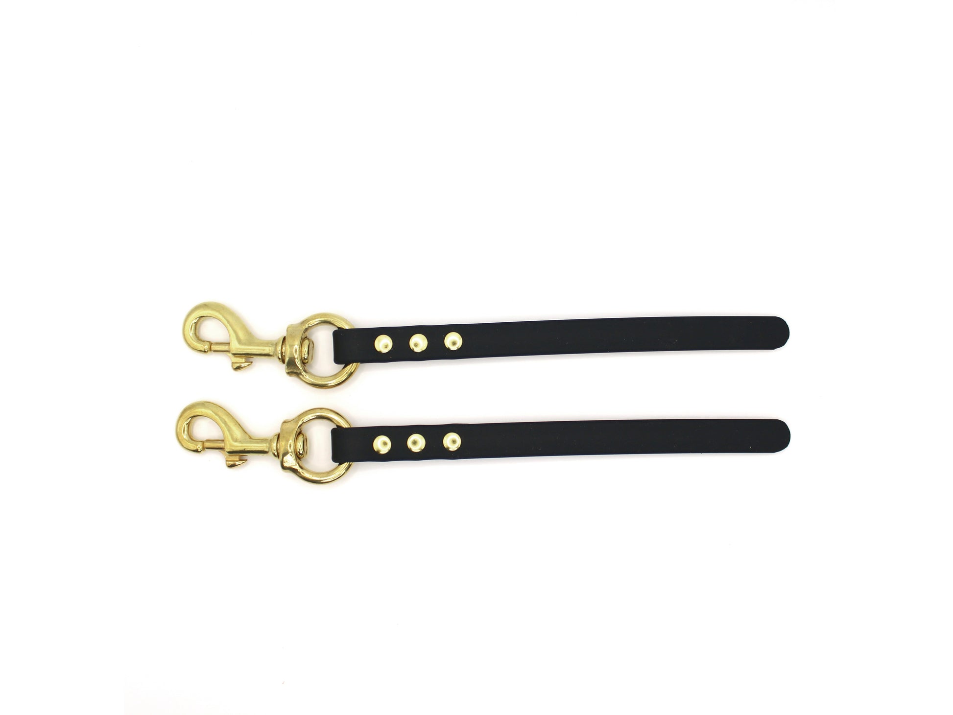 dog training tab leash