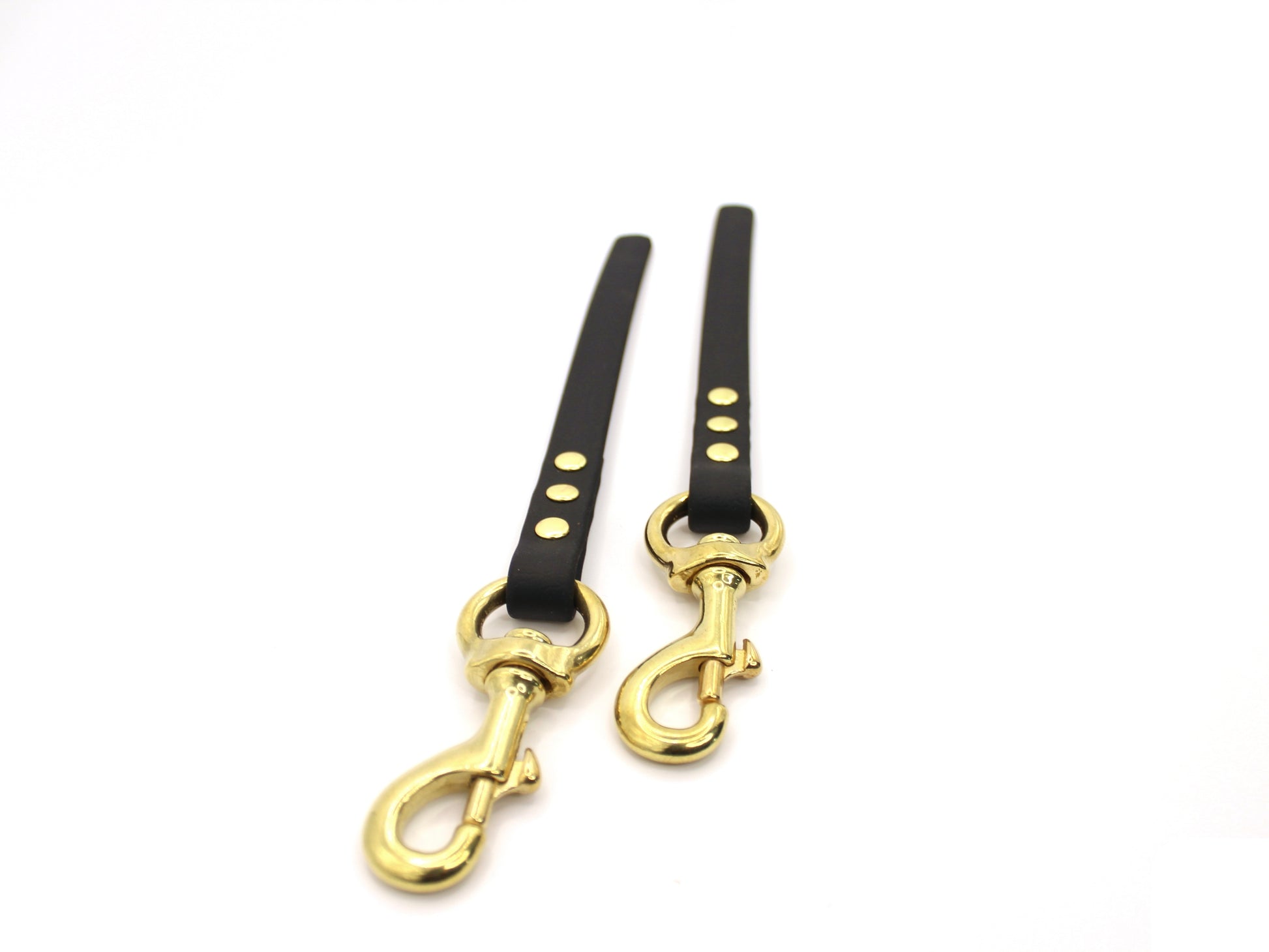 dog training tab leash