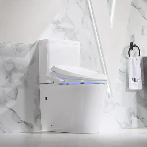 Bathroom Smart Toilet Supplier