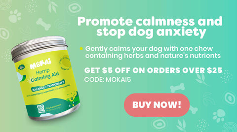 hemp calming treats for dogs