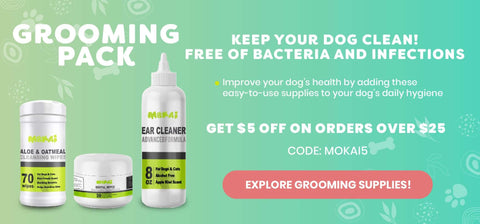 grooming pack for dogs