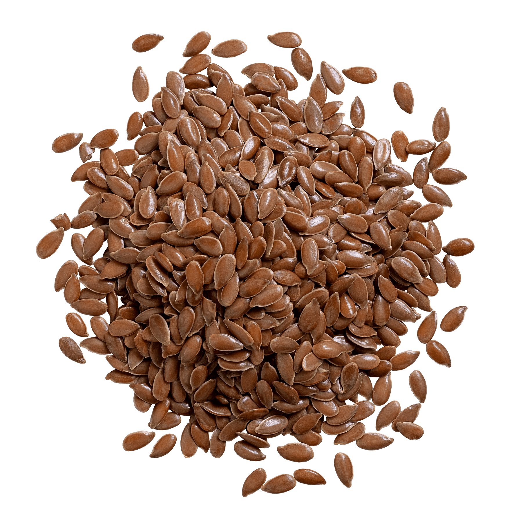 extracted_flaxseed_537326844.png__PID:9d47a0d1-044d-4878-9f05-58cf84e2b619