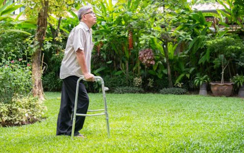 Standard Rollator