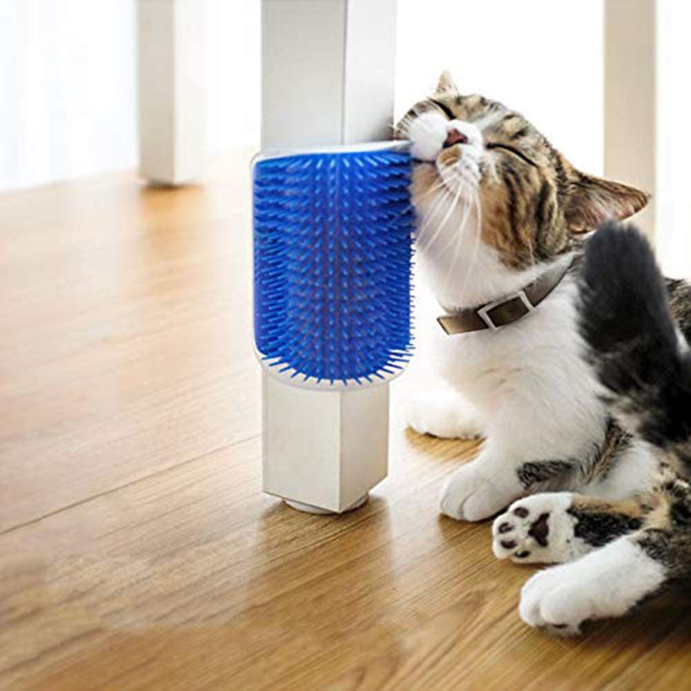 Cats Contented cover image