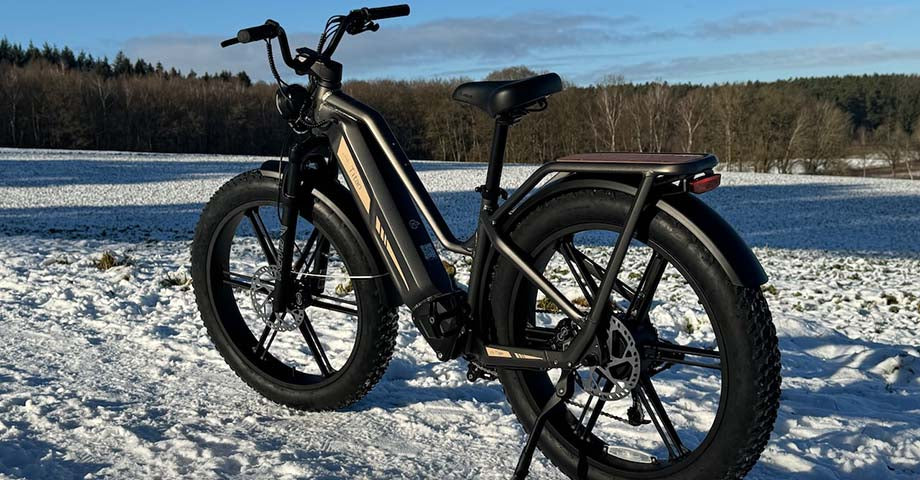 Das Fiido Titan Elektrofahrrad in einer verschneiten Landschaft, mit hervorgehobener Geländegängigkeit.