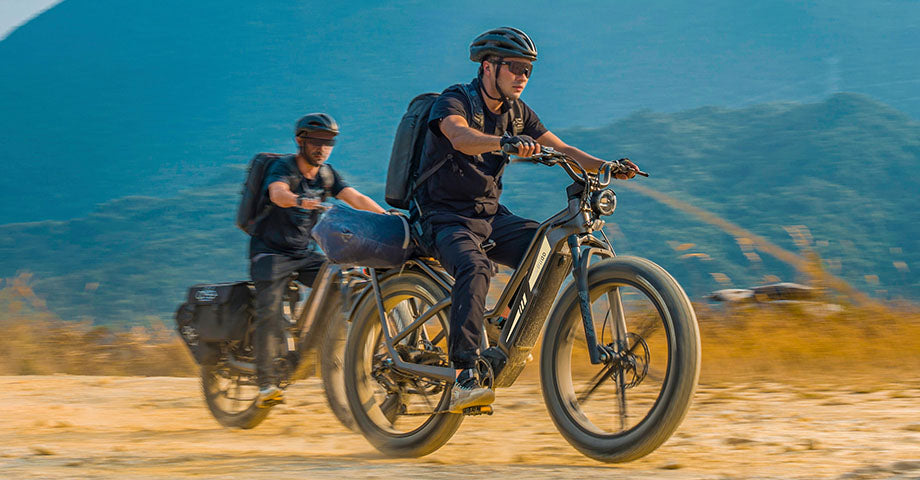 Zwei Männer fahren mit dem Fiido Titan auf Sand.