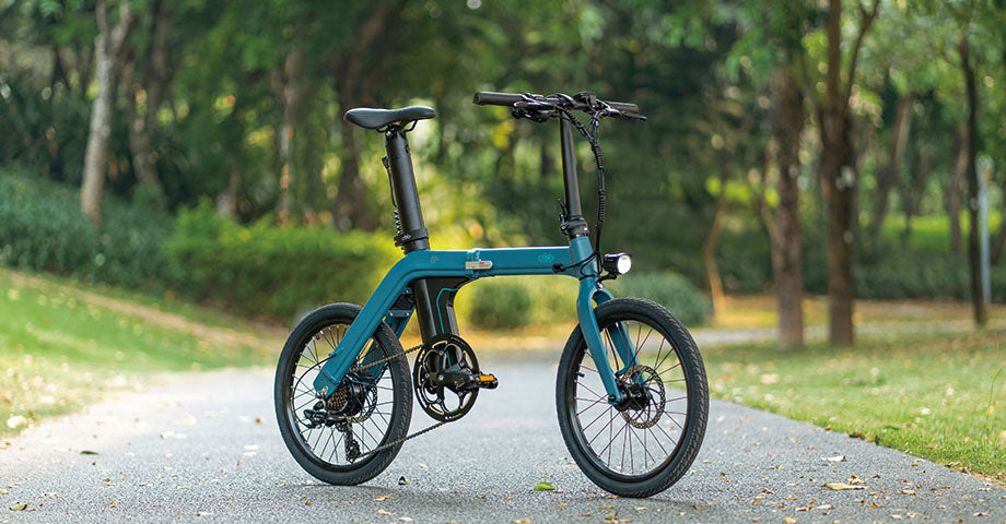 Fiido-E-Bikes im Wald geparkt