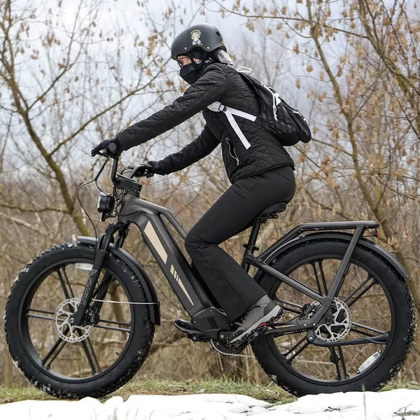 Entdecken Sie den ultimativen Lasten-E-Bike Ratgeber: die Auswahl des Besten, Vorteile und das herausragende Fiido Titan Robust. Verändern Sie Ihren Weg!