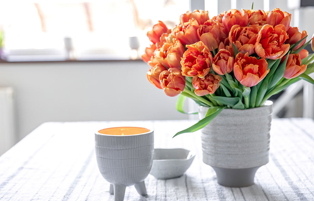 Fleurs dans un endroit adapté