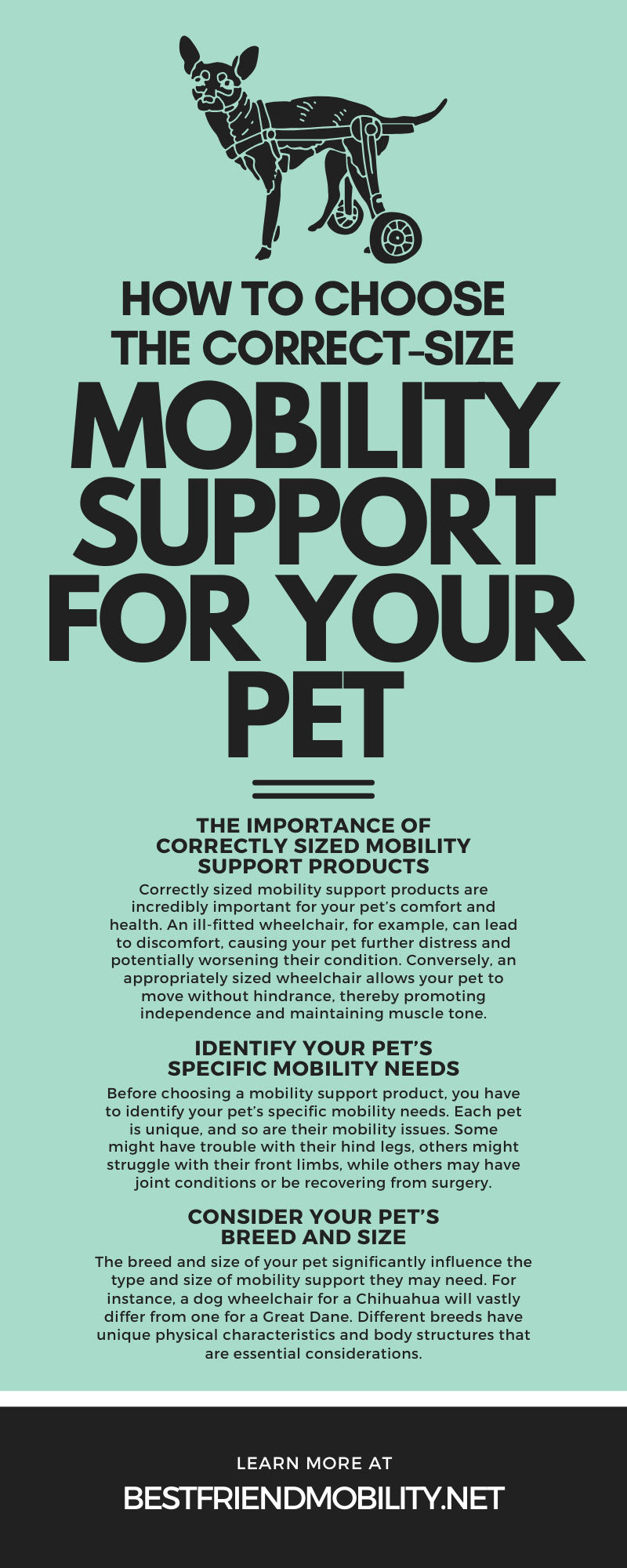 How To Choose the Correct-Size Mobility Support for Your Pet