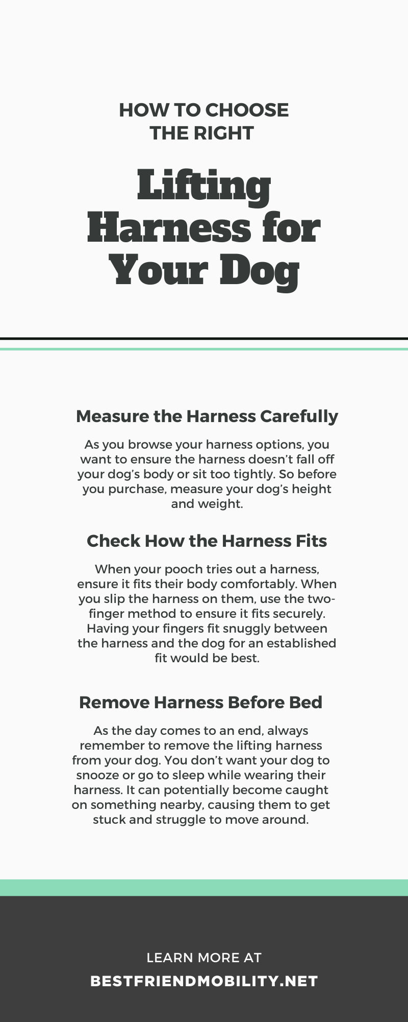 How To Choose the Right Lifting Harness for Your Dog