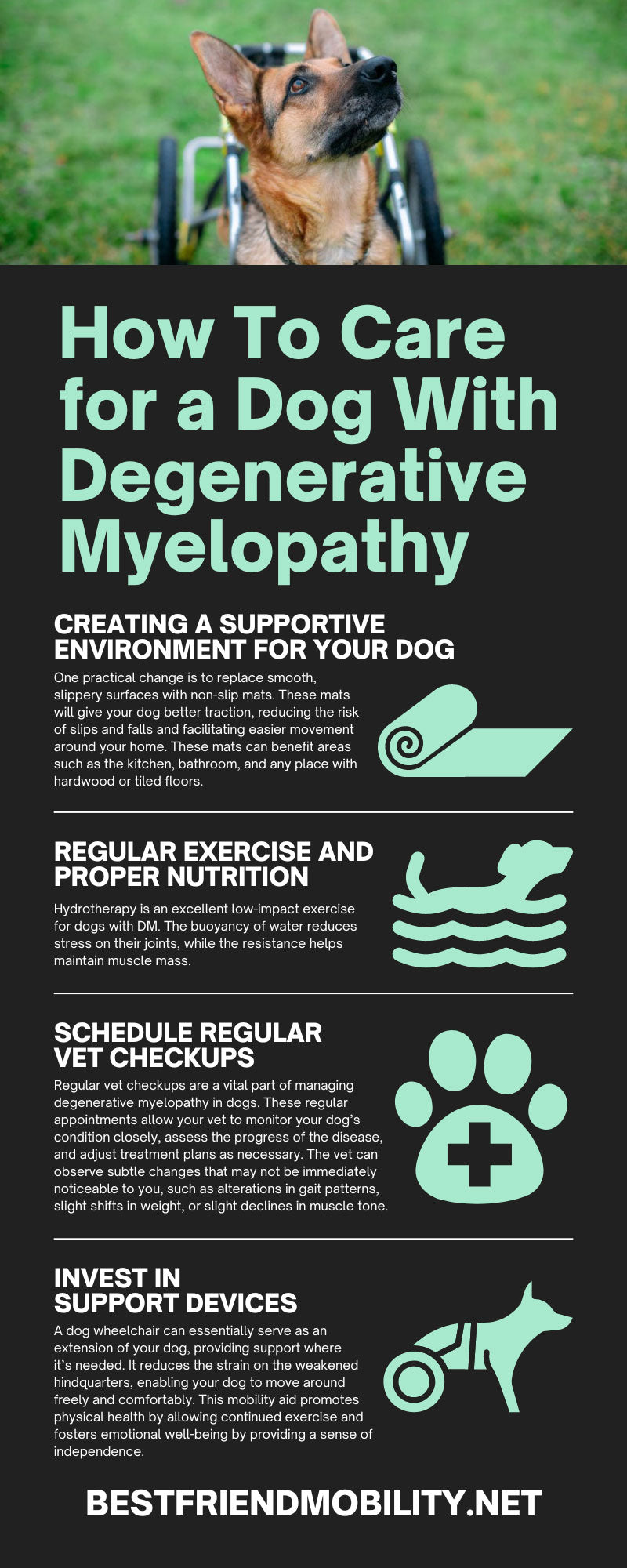 How To Care for a Dog With Degenerative Myelopathy