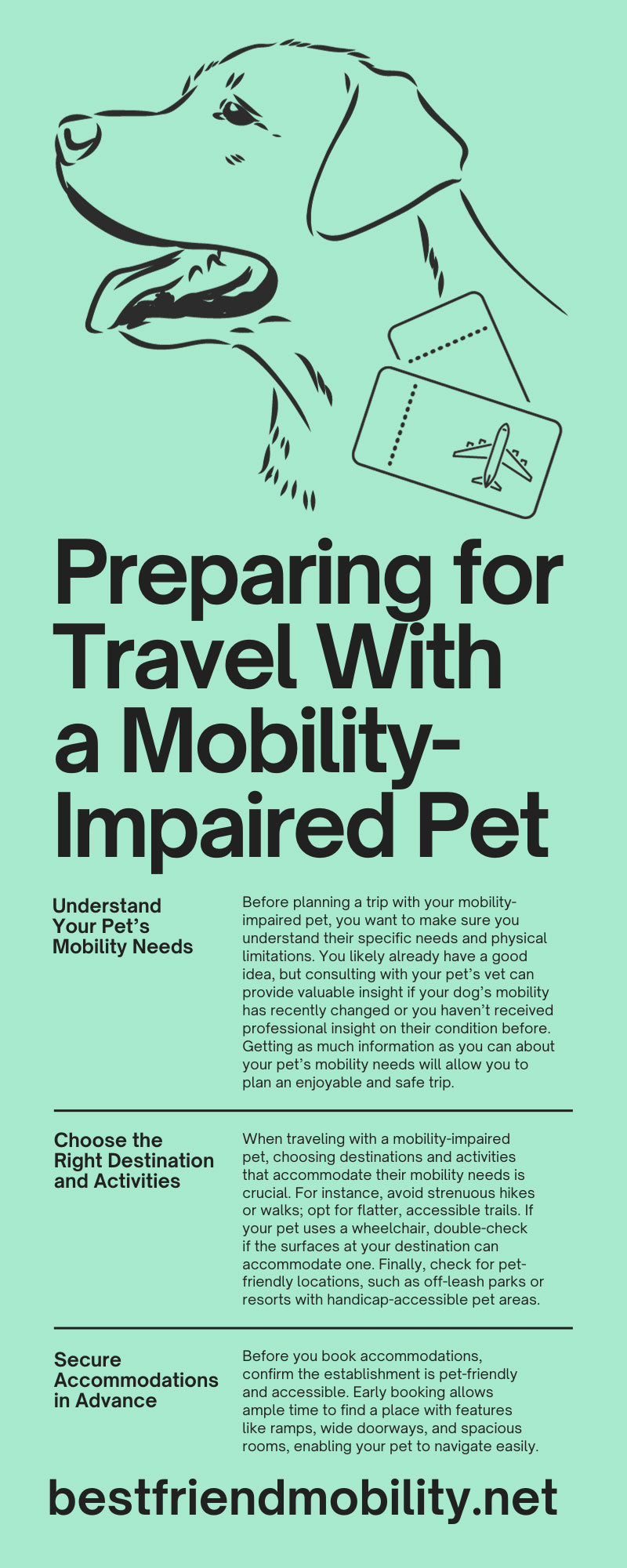 Preparing for Travel With a Mobility-Impaired Pet