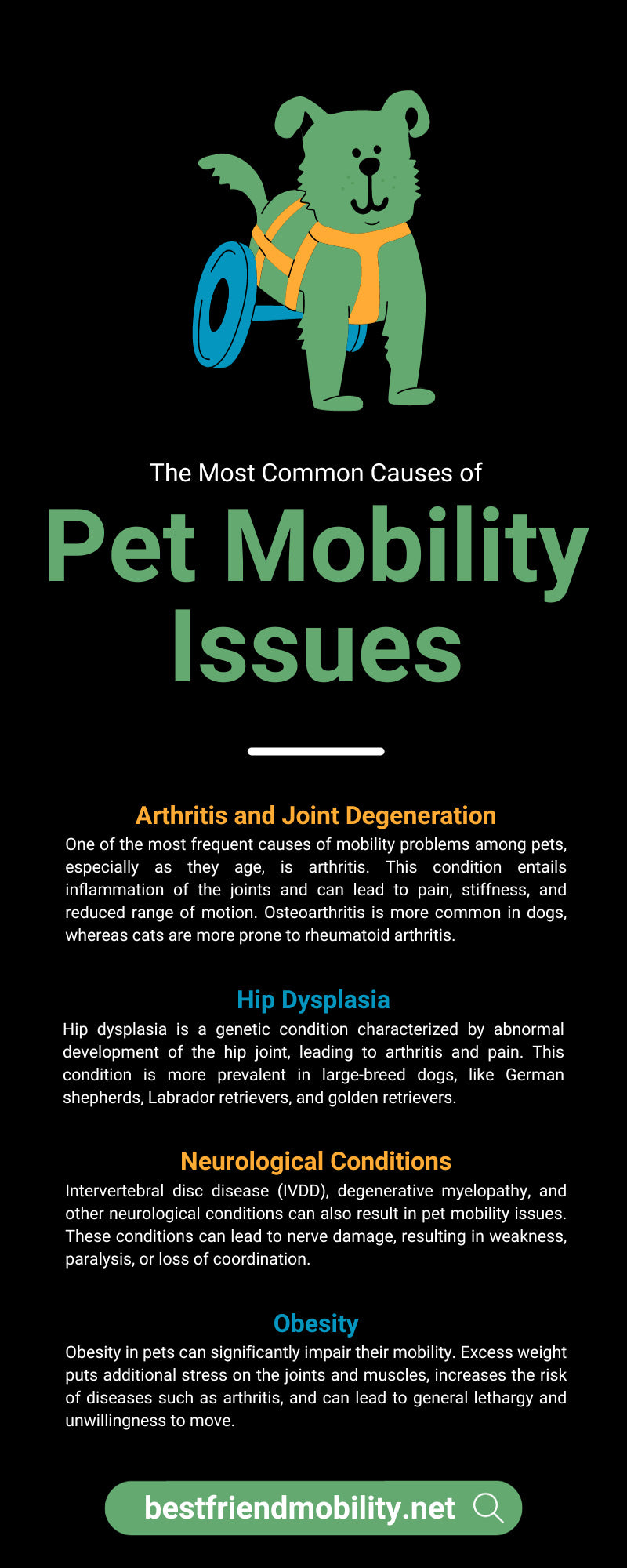 The Most Common Causes of Pet Mobility Issues