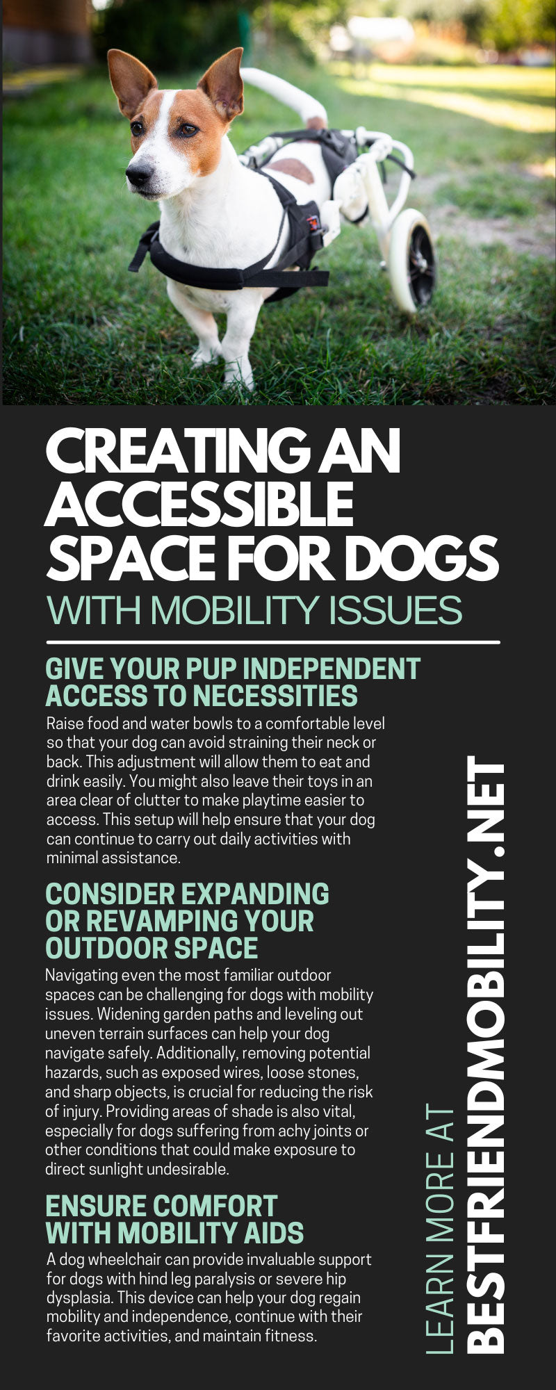 Creating an Accessible Space for Dogs With Mobility Issues