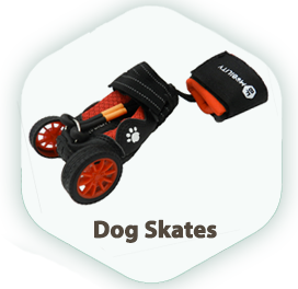 Dog Skates