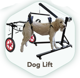 Dog Lift