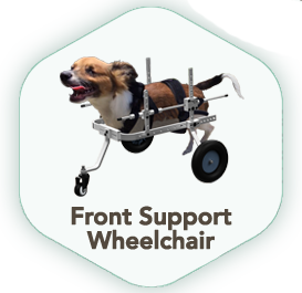 Front Support Wheelchair