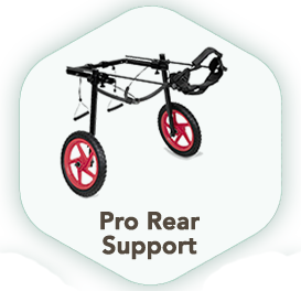 Pro Rear Support