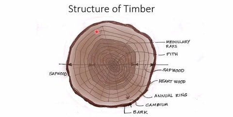 What is the structure of timber?