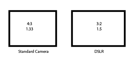 Standard camera versus DSLR