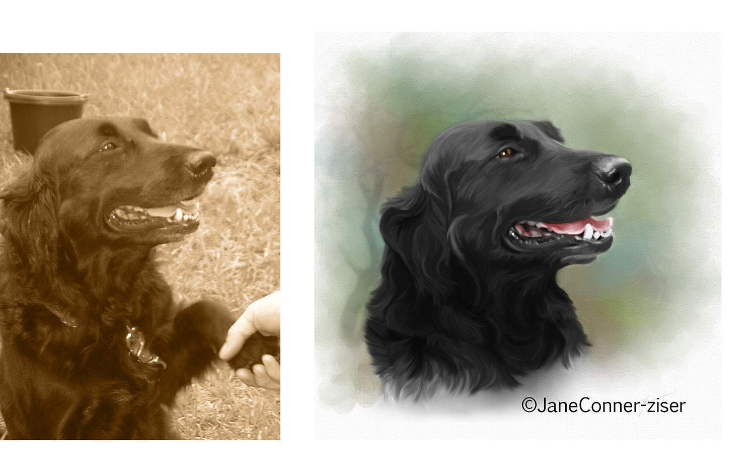 Original picture of a black dog vs a digital version