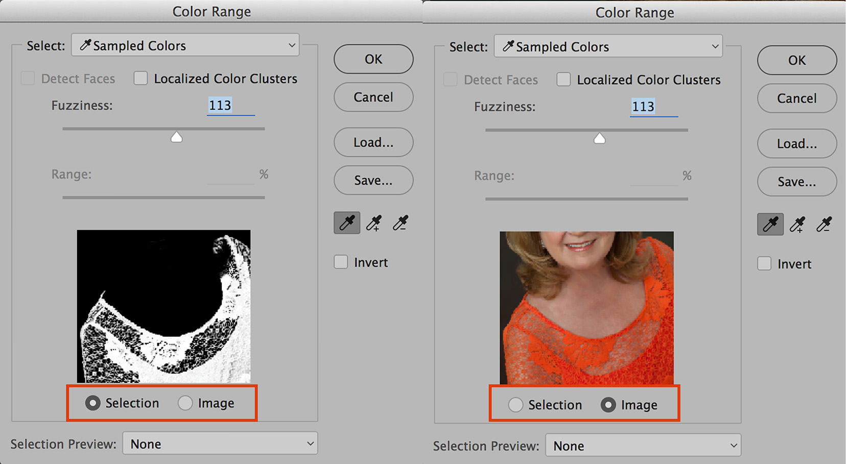 Selection and Image Views in the Color Range tool