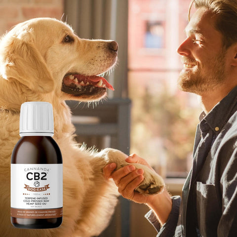 Cannanda CB2 hemp oil for dogs offers safe and effective relief for canine anxiety and pain