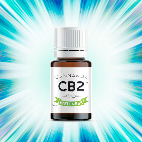 Better than CBD: 9 reasons people are switching to "CB2 Oil"