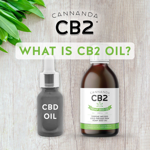 Knowing the differences between CBD oil and CB2 oil can optimize your health and wellness, while keeping you out of legal trouble.