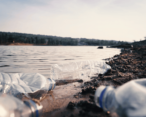 Plastic and Debris from the Sea