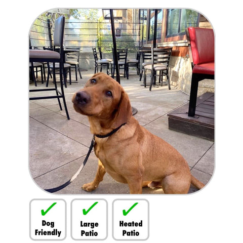 Pet Dog Friendly Patio Edmonton Restaurant