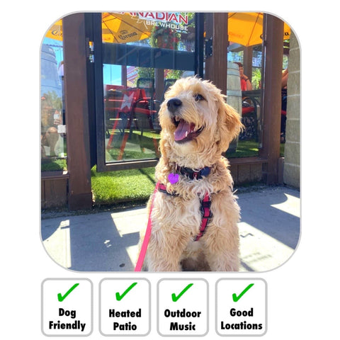 Dog Friendly Patio Edmonton Restaurant Canadian Brewhouse