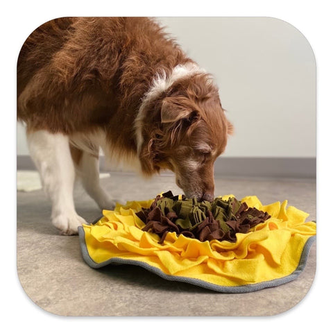 What is a snuffle mat? Are they a good enrichment toy for dogs?