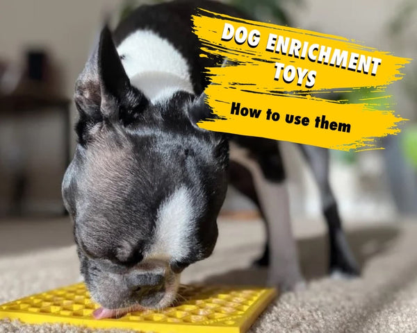 Dog Enrichment Toys  How To Use Enrichment Toys For Dogs