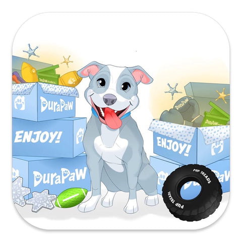 Dog Subscription Box Fun Monthly Activity for your Dog