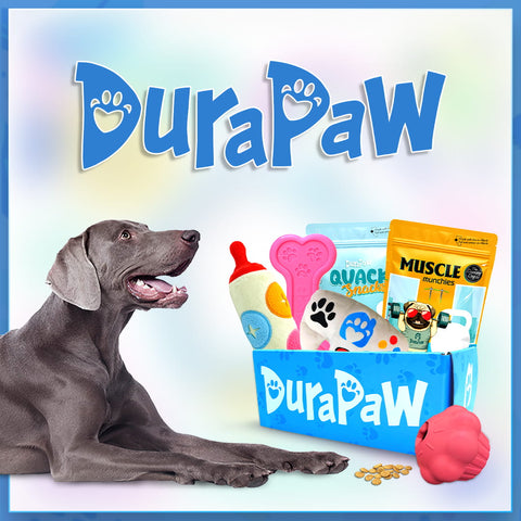 DuraPaw Canadian Dog Subscription Box