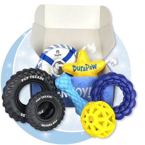 DuraPaw Dog Toy Subscription Box Canada Durable Dog Toys