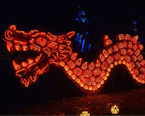 Pumpkins After Dark Pumpkin Display Edmonton Calgary Alberta