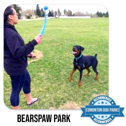 Bearspaw Edmonton Off Leash Dog Park