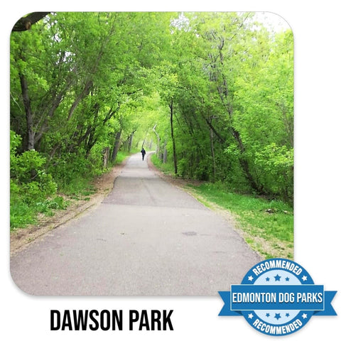 Dawson Park Edmonton Off Leash Dog Park