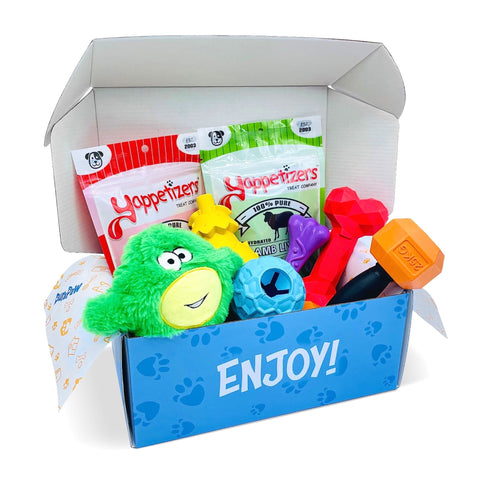 Best Dog Toy Enrichment Box Canada